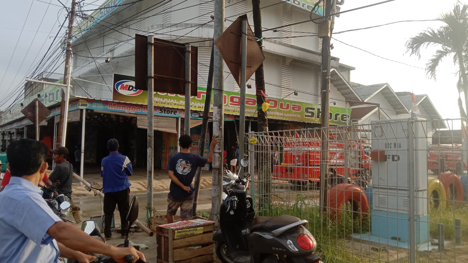 Sijago merah mengamuk di.Setori (SGD)setore mangga dua wayjepara di lamtim